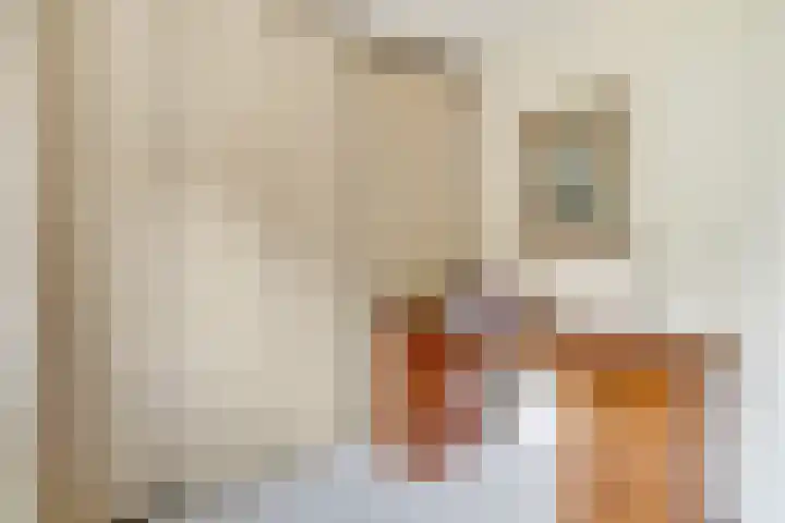 Diekjansweg 120 Rijssen thumbnail 27