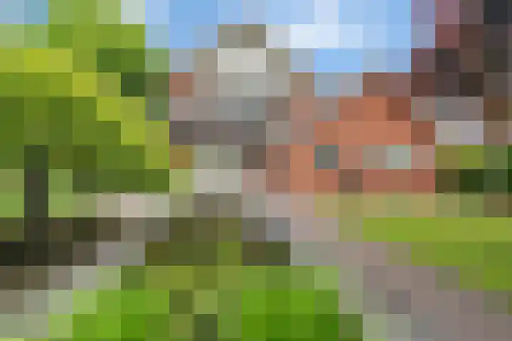 Diekjansweg 120 Rijssen thumbnail 34