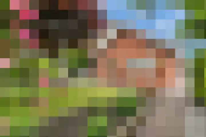 Diekjansweg 120 Rijssen thumbnail 36