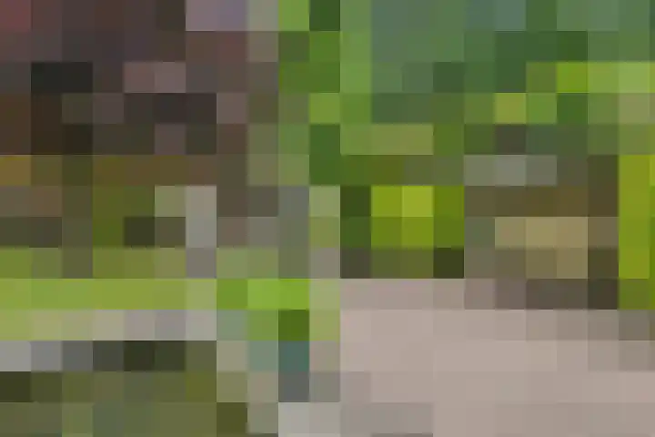 Diekjansweg 120 Rijssen thumbnail 39
