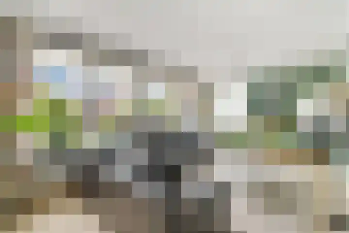 Diekjansweg 120 Rijssen thumbnail 4