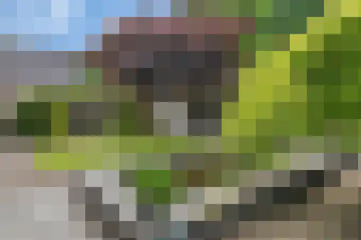 Diekjansweg 120 Rijssen thumbnail 40