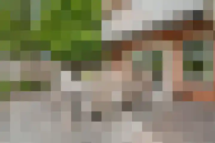 Diekjansweg 120 Rijssen thumbnail 42