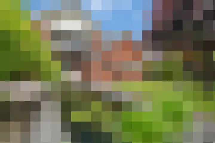 Diekjansweg 120 Rijssen thumbnail 43