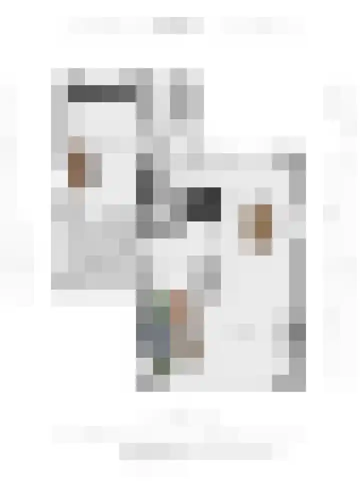 Diekjansweg 120 Rijssen thumbnail 45