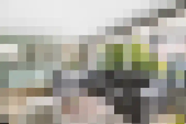 Diekjansweg 120 Rijssen thumbnail 6