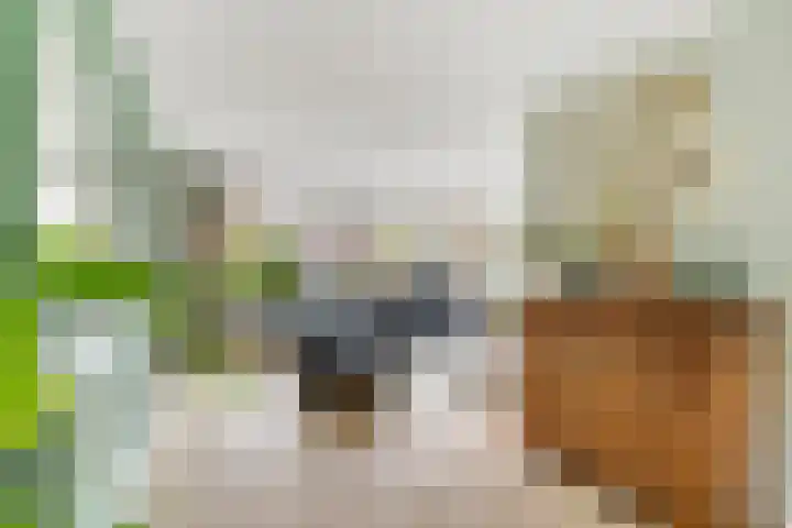 Diekjansweg 120 Rijssen thumbnail 8