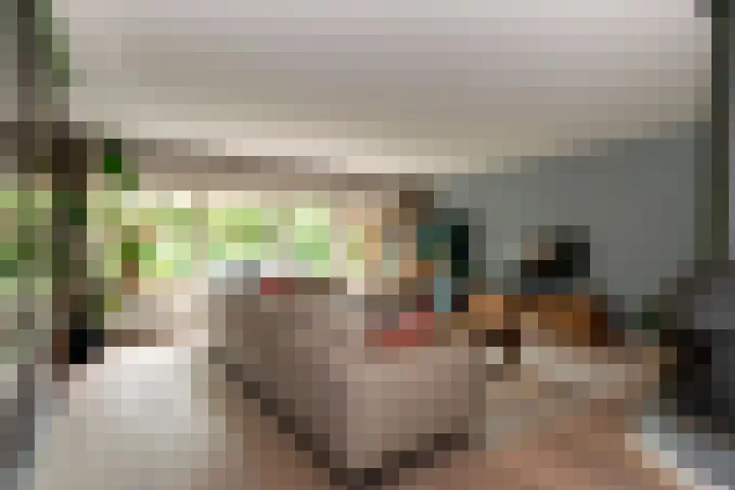 Diekjansweg 47 Rijssen thumbnail 11