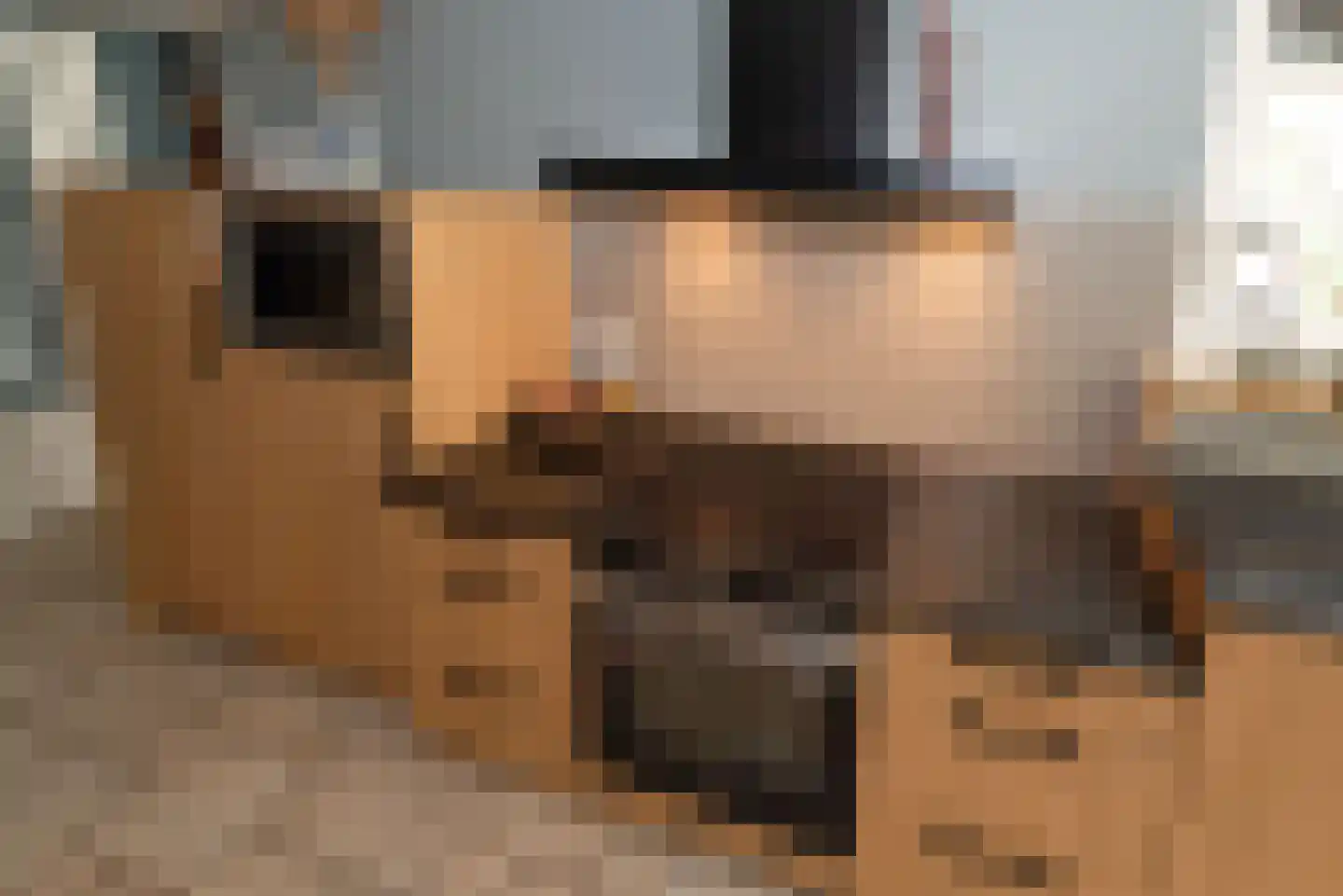 Diekjansweg 47 Rijssen thumbnail 18