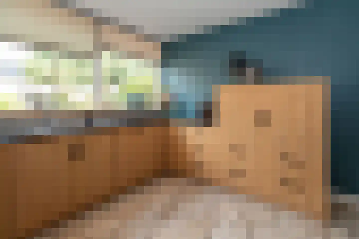 Diekjansweg 47 Rijssen thumbnail 19