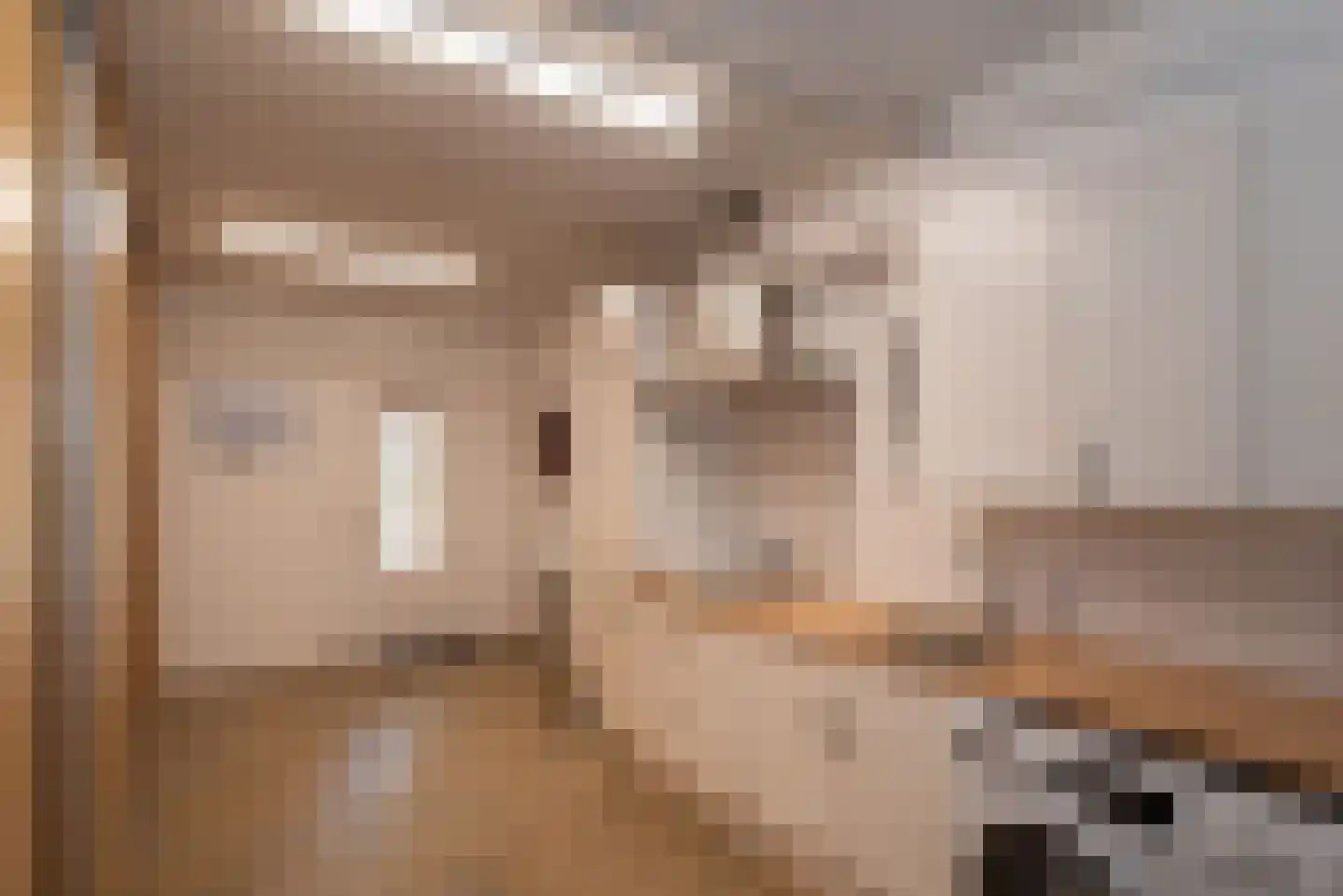 Diekjansweg 47 Rijssen thumbnail 22