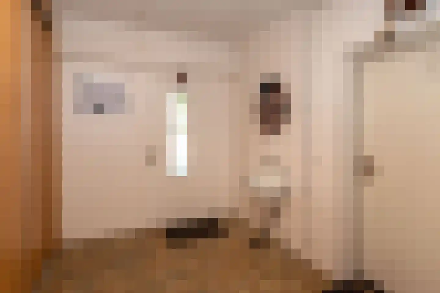 Diekjansweg 47 Rijssen thumbnail 23