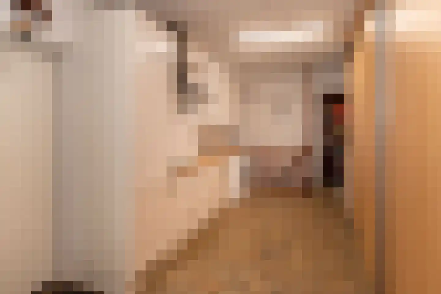 Diekjansweg 47 Rijssen thumbnail 24