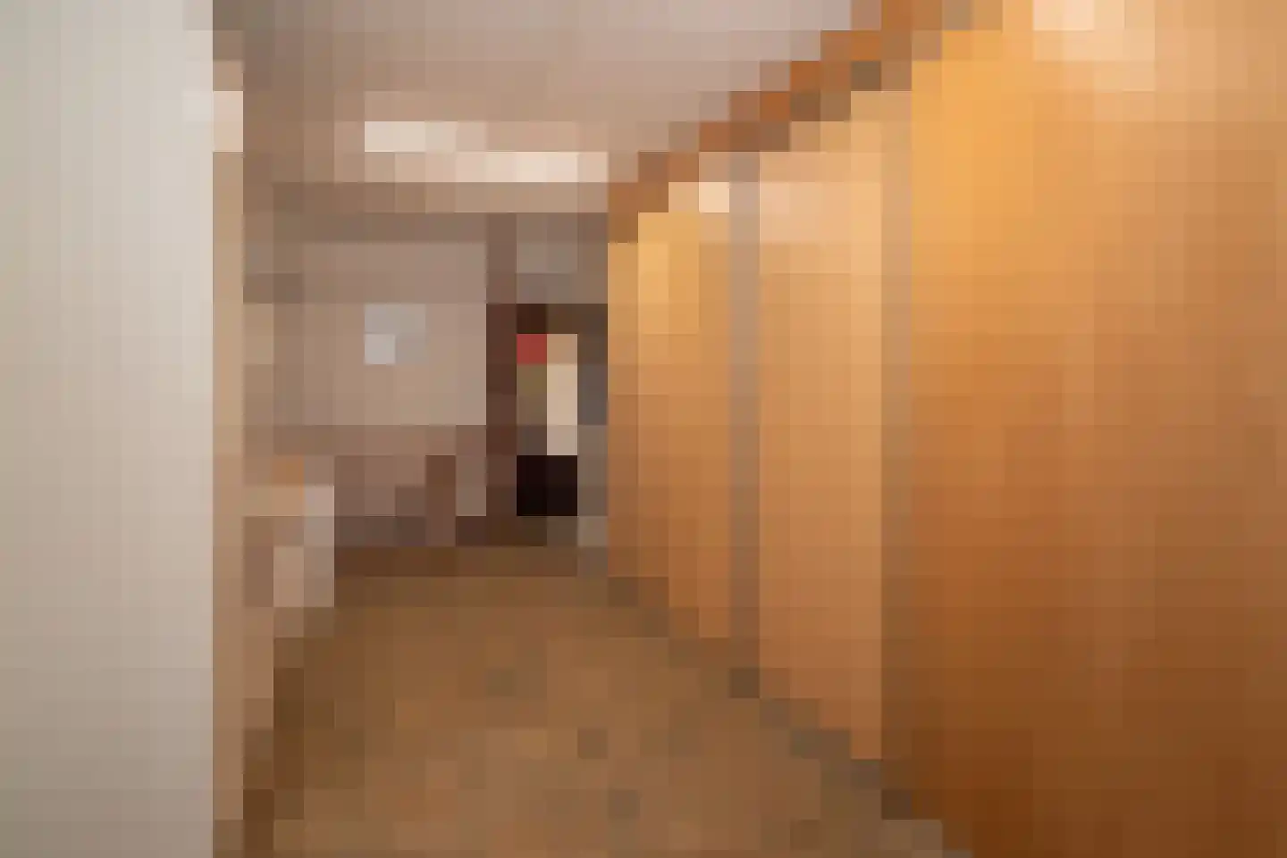 Diekjansweg 47 Rijssen thumbnail 25