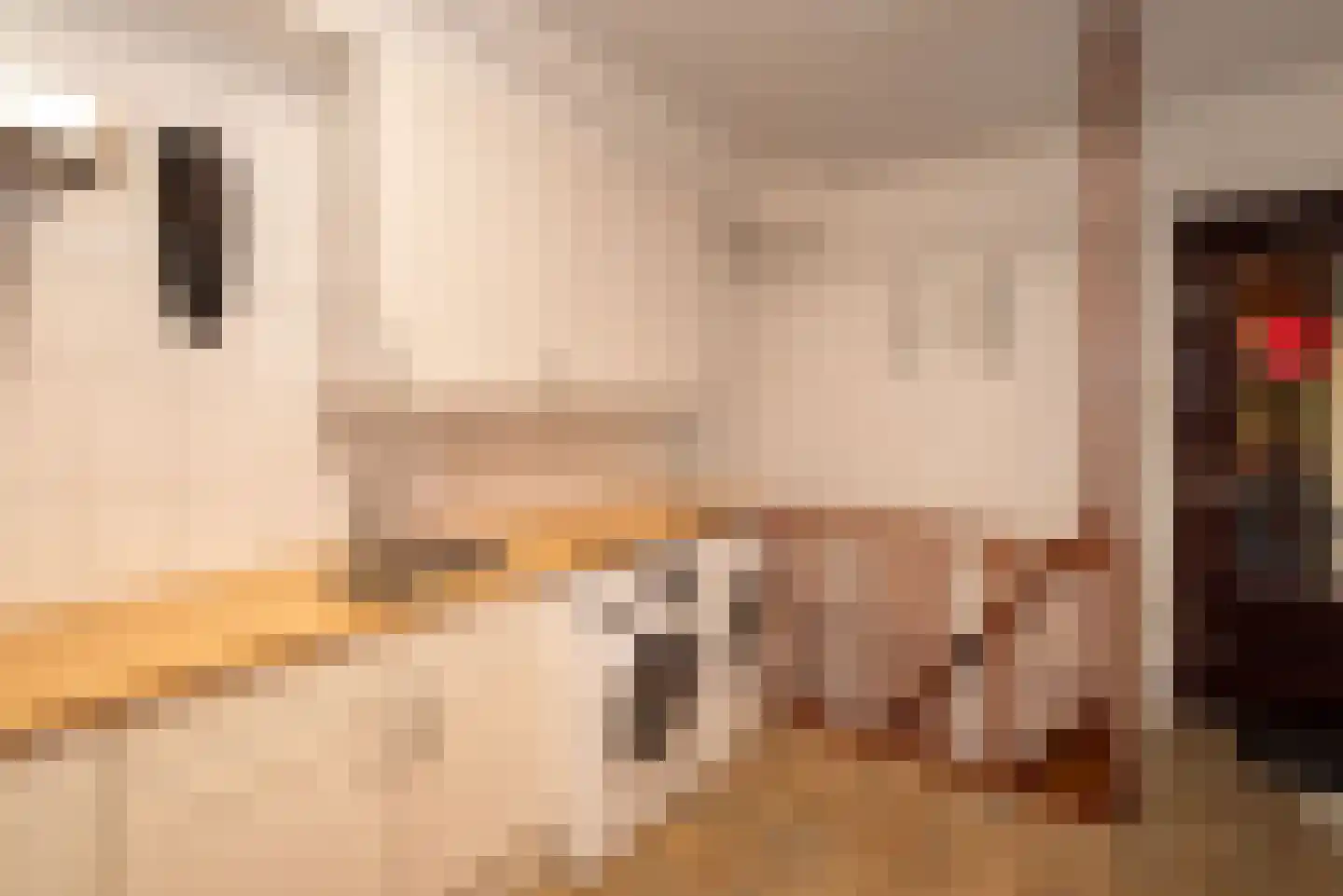 Diekjansweg 47 Rijssen thumbnail 26