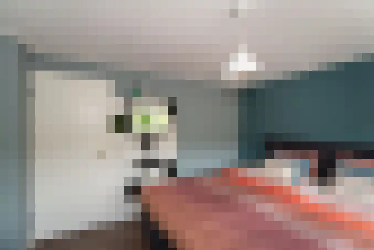 Diekjansweg 47 Rijssen thumbnail 29