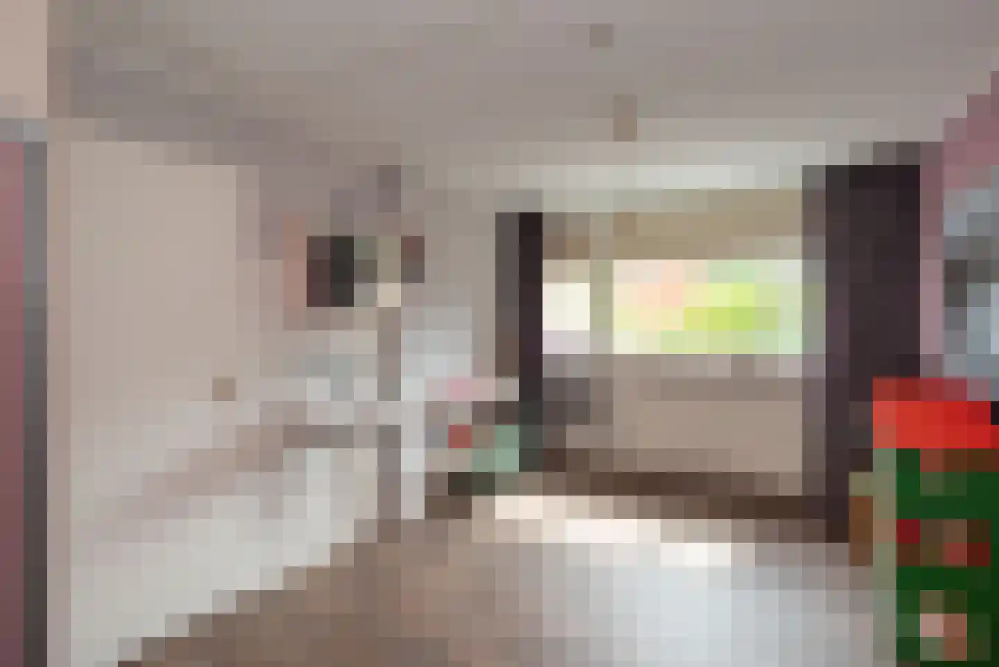 Diekjansweg 47 Rijssen thumbnail 30