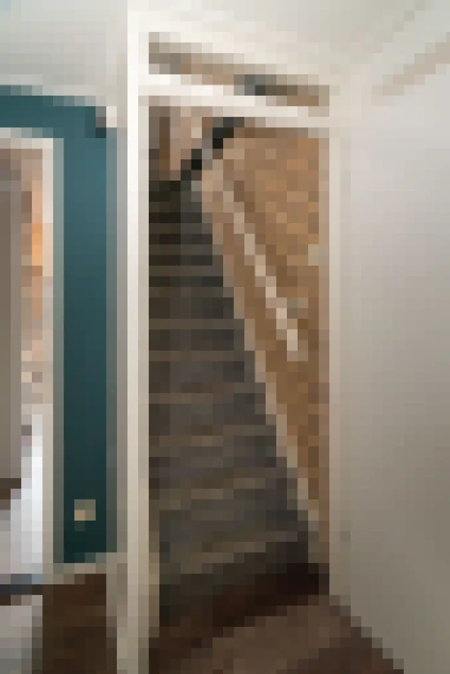 Diekjansweg 47 Rijssen thumbnail 42