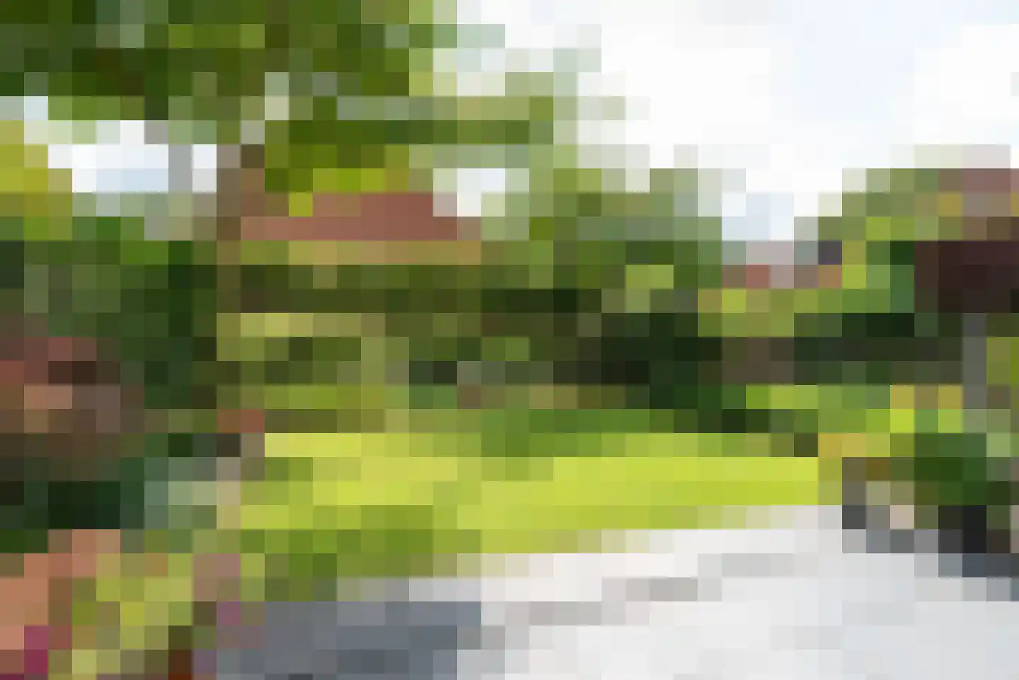 Diekjansweg 47 Rijssen thumbnail 46