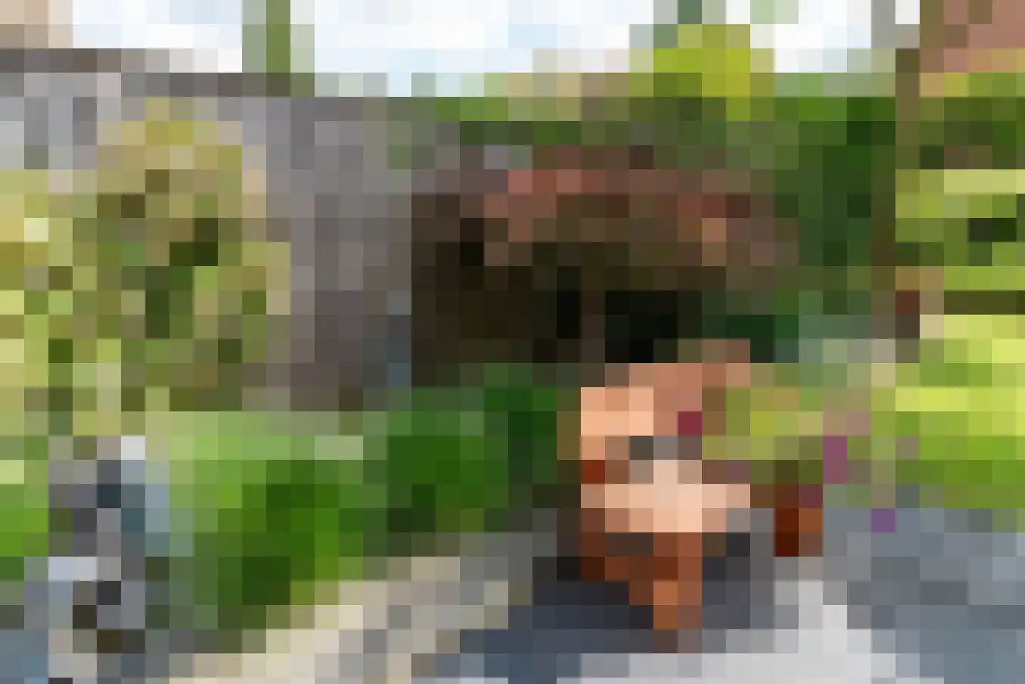 Diekjansweg 47 Rijssen thumbnail 47