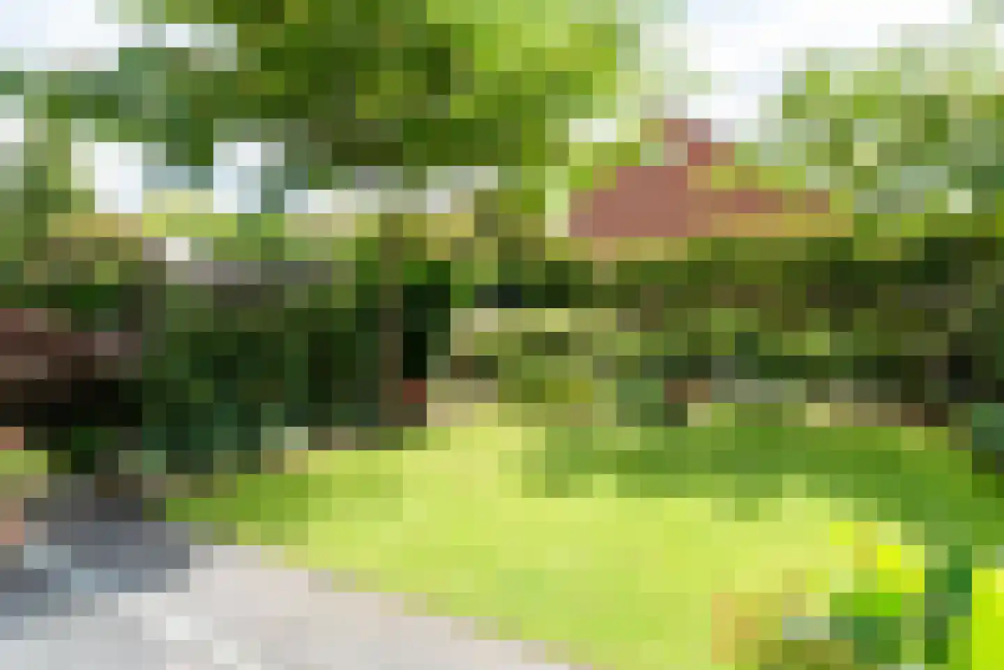 Diekjansweg 47 Rijssen thumbnail 5