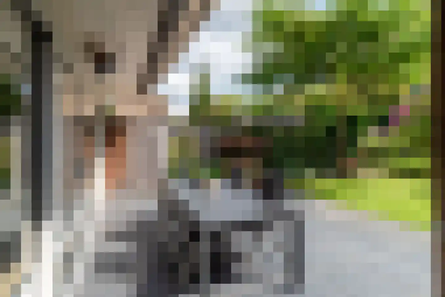 Diekjansweg 47 Rijssen thumbnail 50