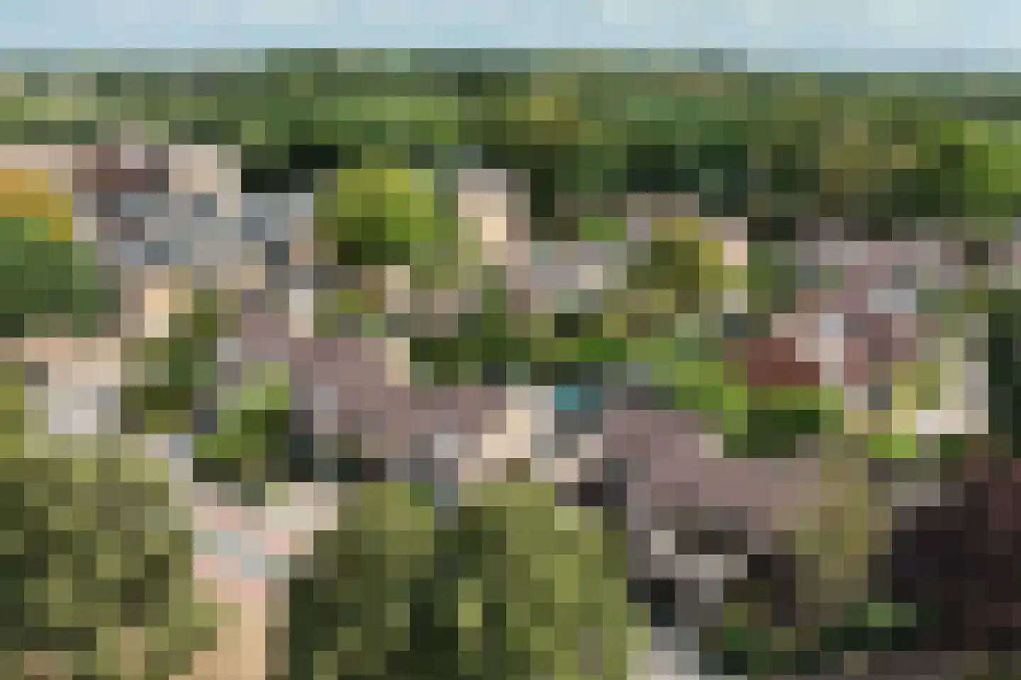 Diekjansweg 47 Rijssen thumbnail 52