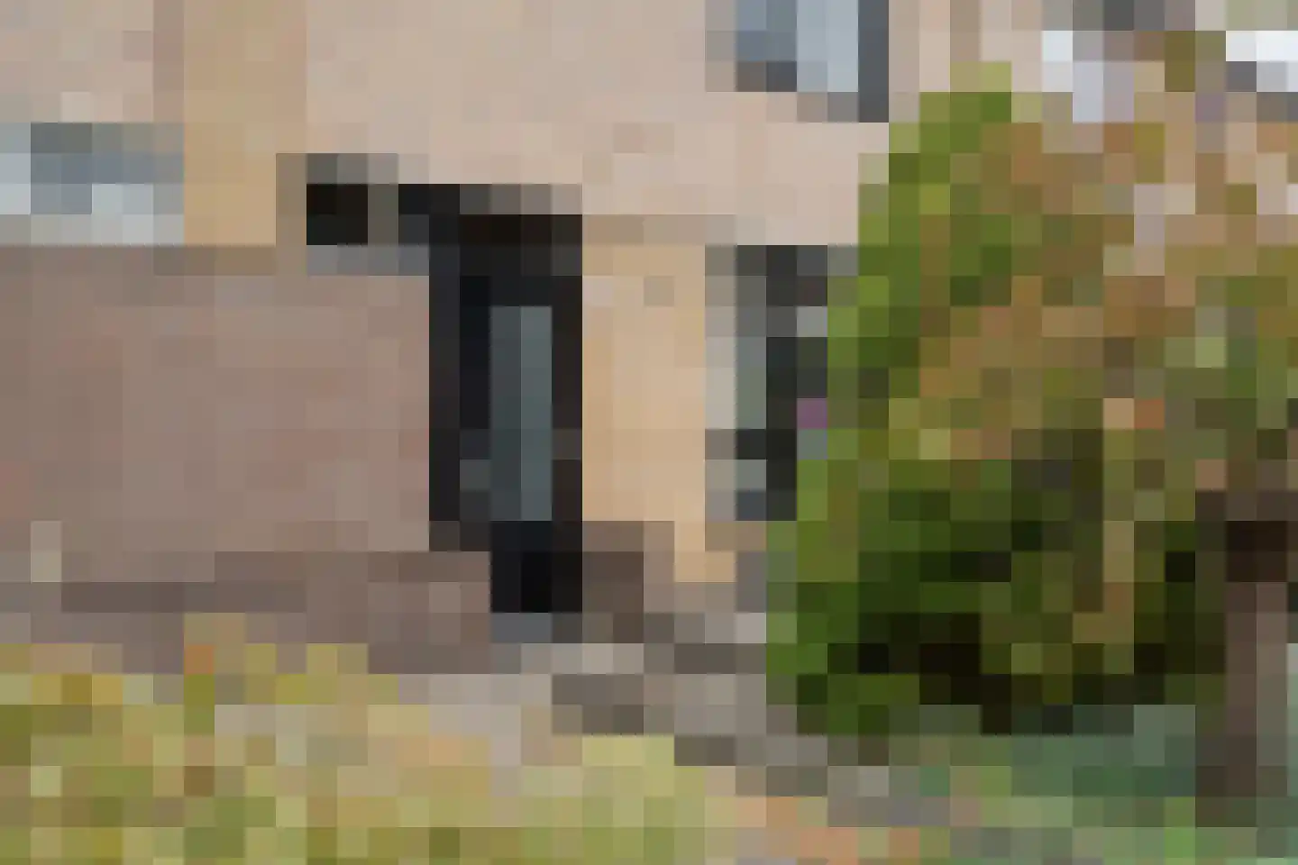 Diekjansweg 54 Rijssen thumbnail 10