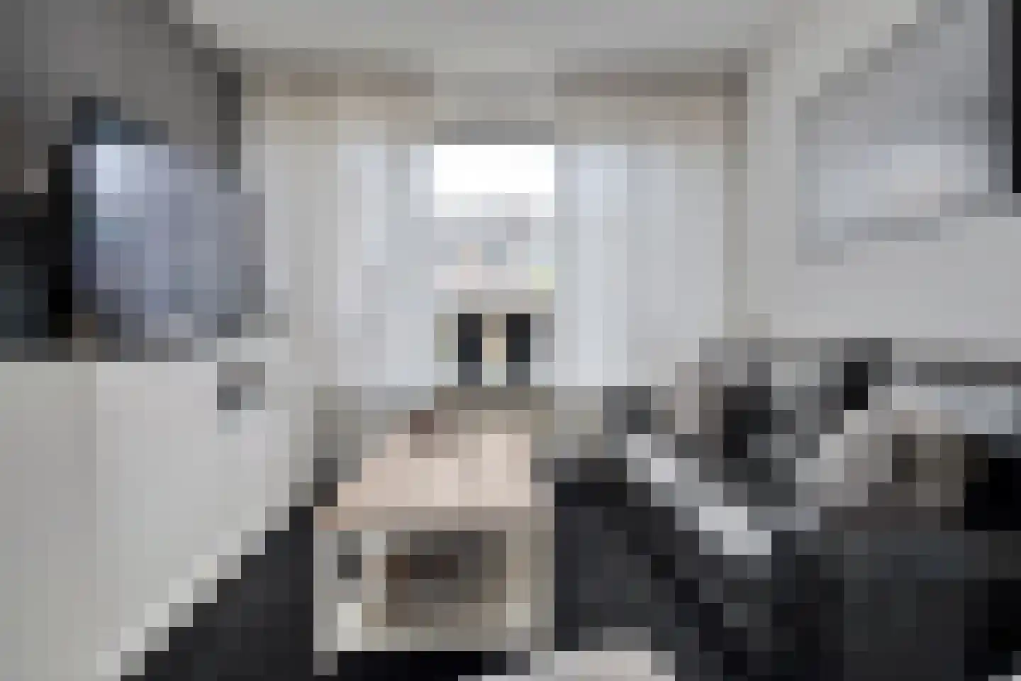 Diekjansweg 54 Rijssen thumbnail 14