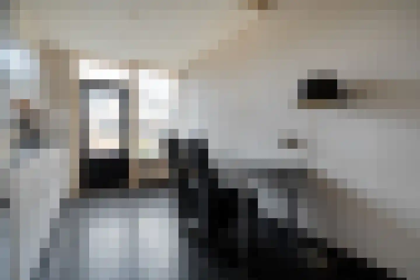 Diekjansweg 54 Rijssen thumbnail 19