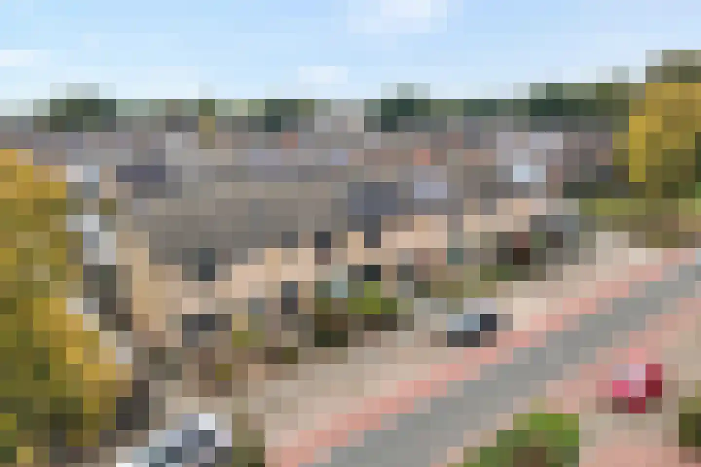Diekjansweg 54 Rijssen thumbnail 34