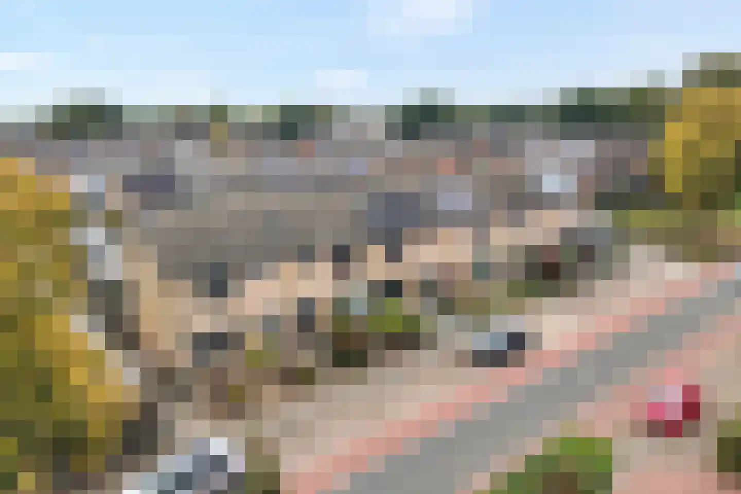 Diekjansweg 54 Rijssen thumbnail 7