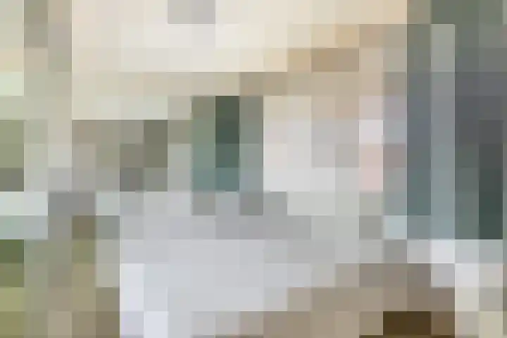 Dieklaan 1 Middelharnis thumbnail 13