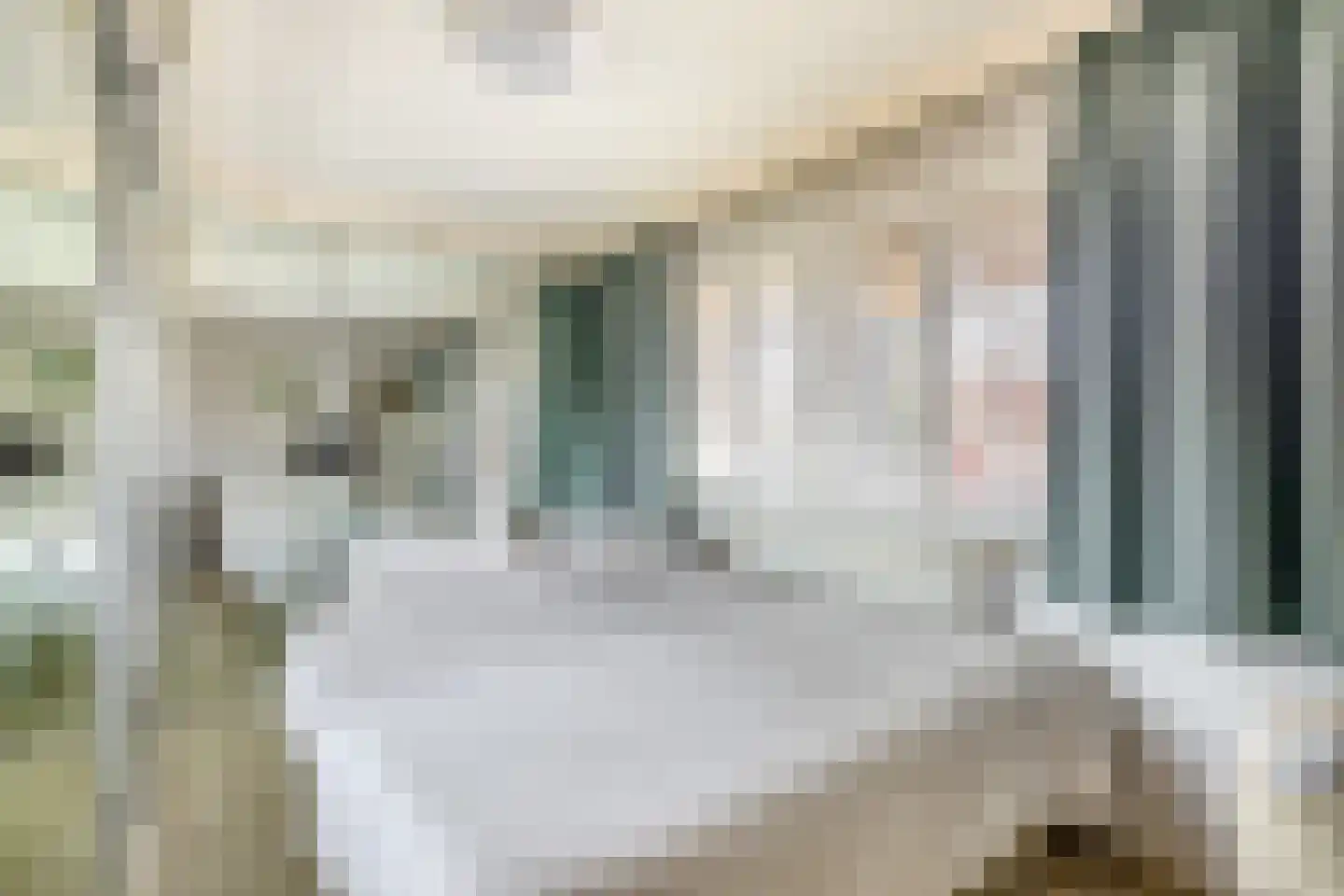 Dieklaan 1 Middelharnis thumbnail 13