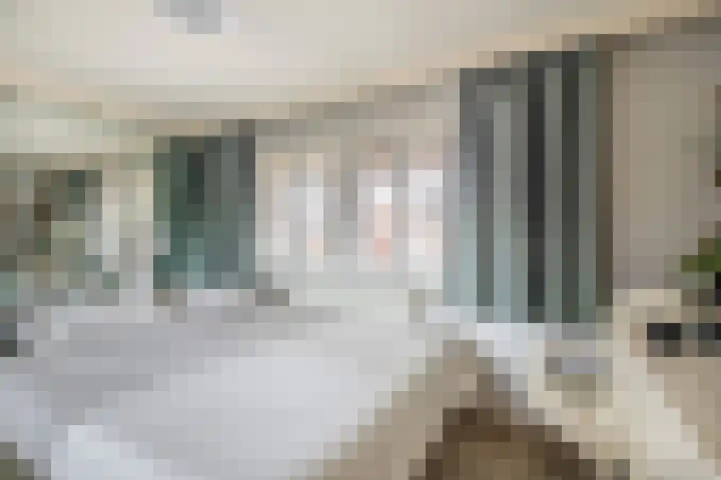 Dieklaan 1 Middelharnis thumbnail 14