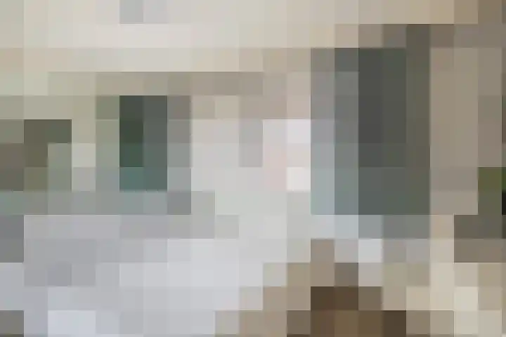 Dieklaan 1 Middelharnis thumbnail 14