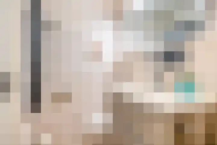 Dieklaan 1 Middelharnis thumbnail 15