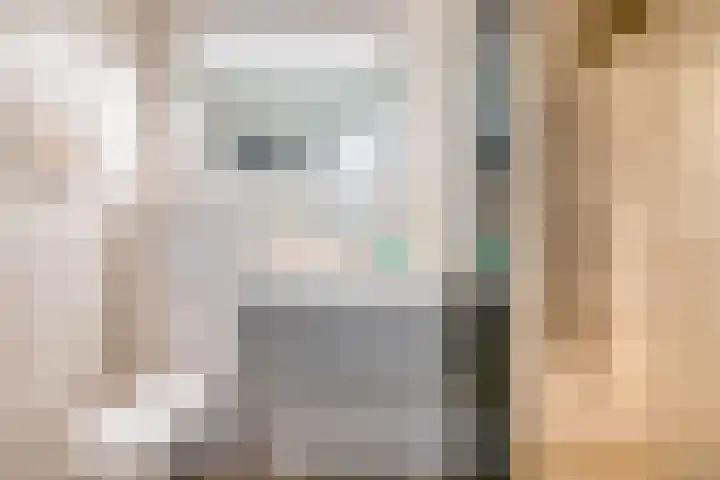 Dieklaan 1 Middelharnis thumbnail 16