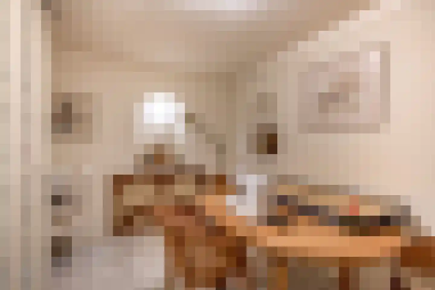 Dieklaan 1 Middelharnis thumbnail 20