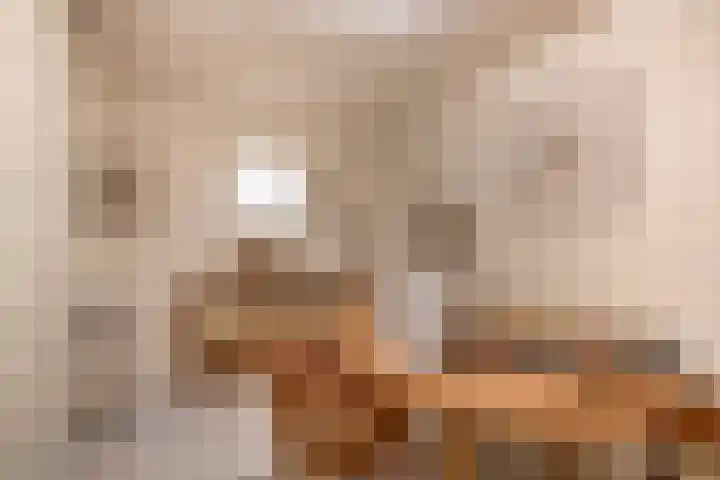 Dieklaan 1 Middelharnis thumbnail 20