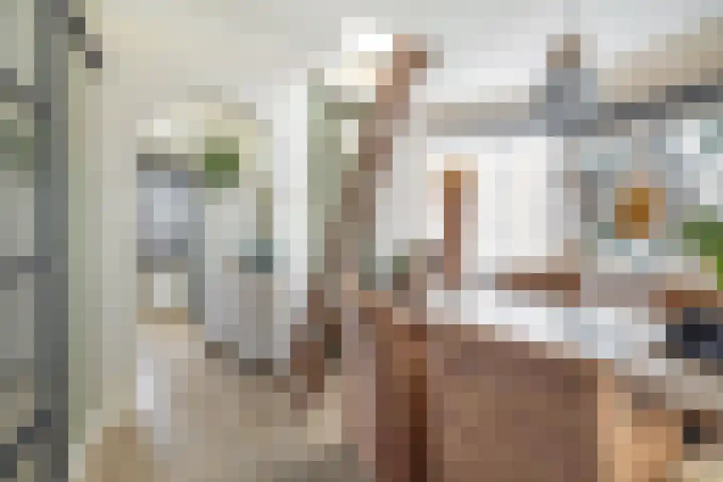 Dieklaan 1 Middelharnis thumbnail 21