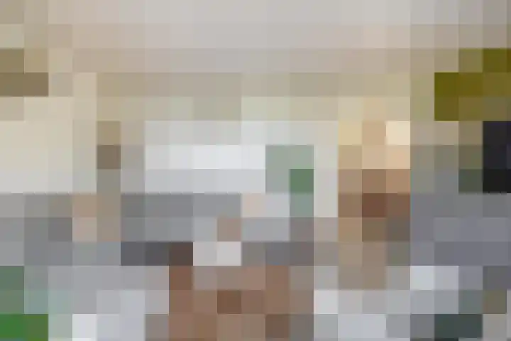 Dieklaan 1 Middelharnis thumbnail 22