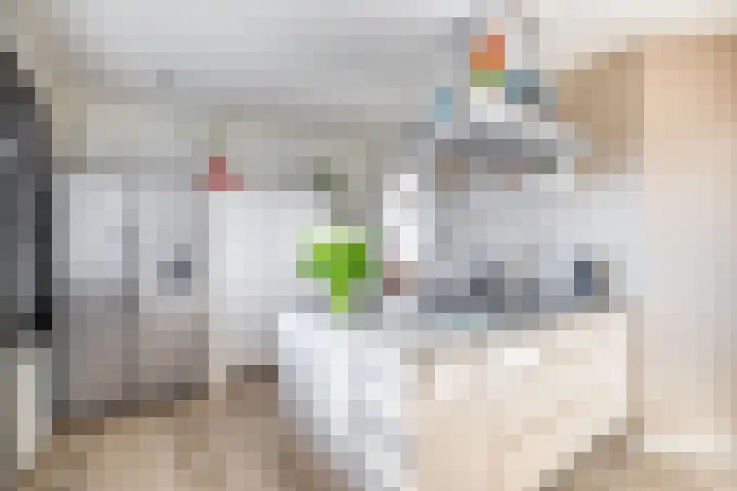 Dieklaan 1 Middelharnis thumbnail 25