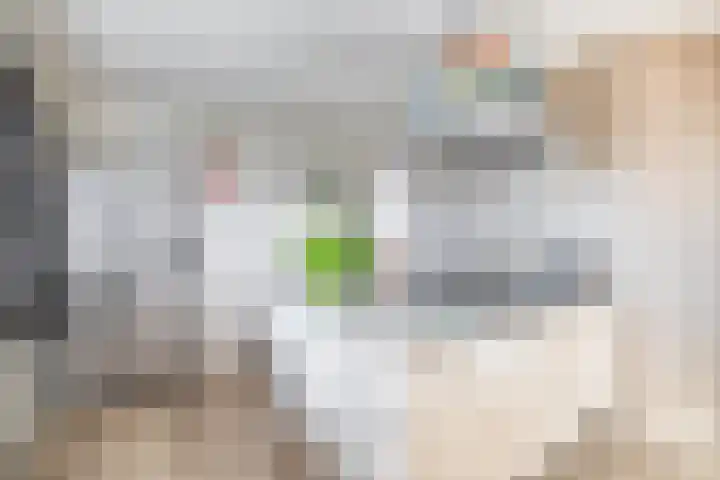 Dieklaan 1 Middelharnis thumbnail 25