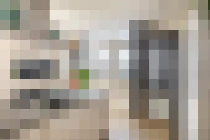 Dieklaan 1 Middelharnis thumbnail 26
