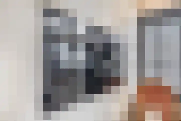 Dieklaan 1 Middelharnis thumbnail 27