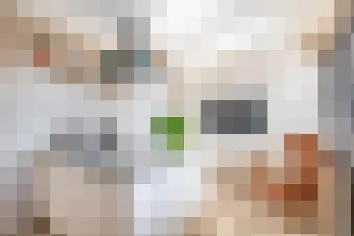 Dieklaan 1 Middelharnis thumbnail 28