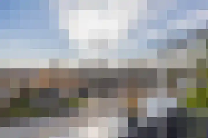 Dieklaan 1 Middelharnis thumbnail 29