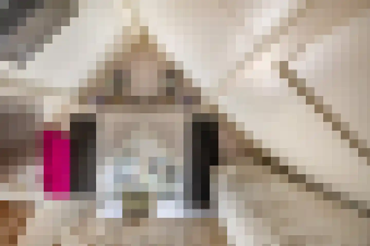 Dieklaan 1 Middelharnis thumbnail 30