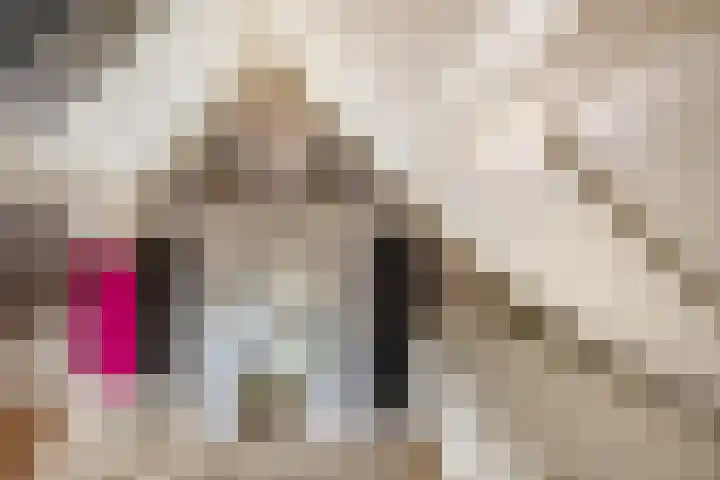 Dieklaan 1 Middelharnis thumbnail 30
